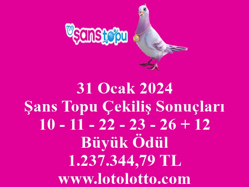 Şans Topu 31 Ocak 2024 Çekiliş Sonuçları