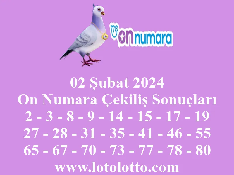 On Numara 02 Şubat 2024 Çekiliş Sonuçları