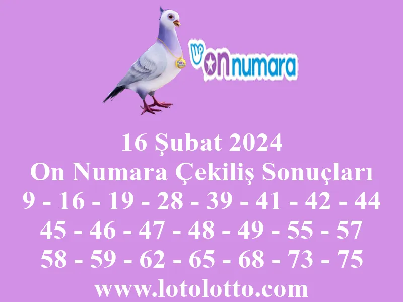 On Numara 16 Şubat 2024 Çekiliş Sonuçları