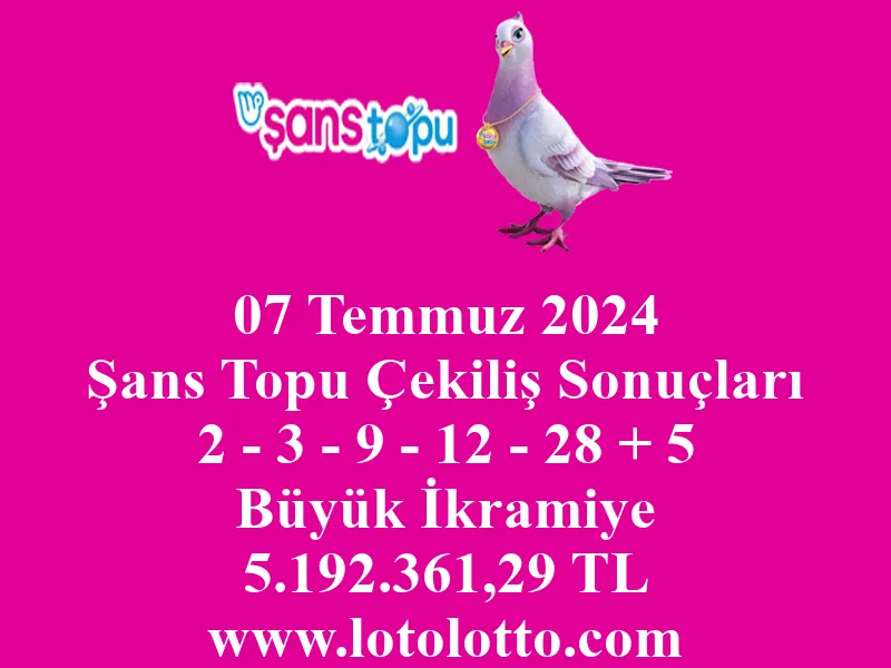 07 Temmuz 2024 Şans Topu Çekiliş Sonuçları
