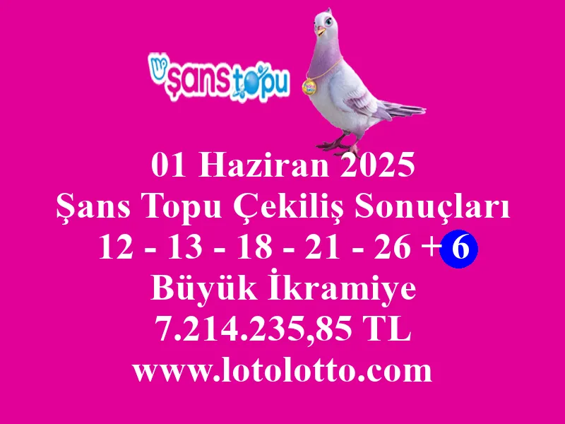 01 Haziran 2025 Şans Topu Çekiliş Sonuçları