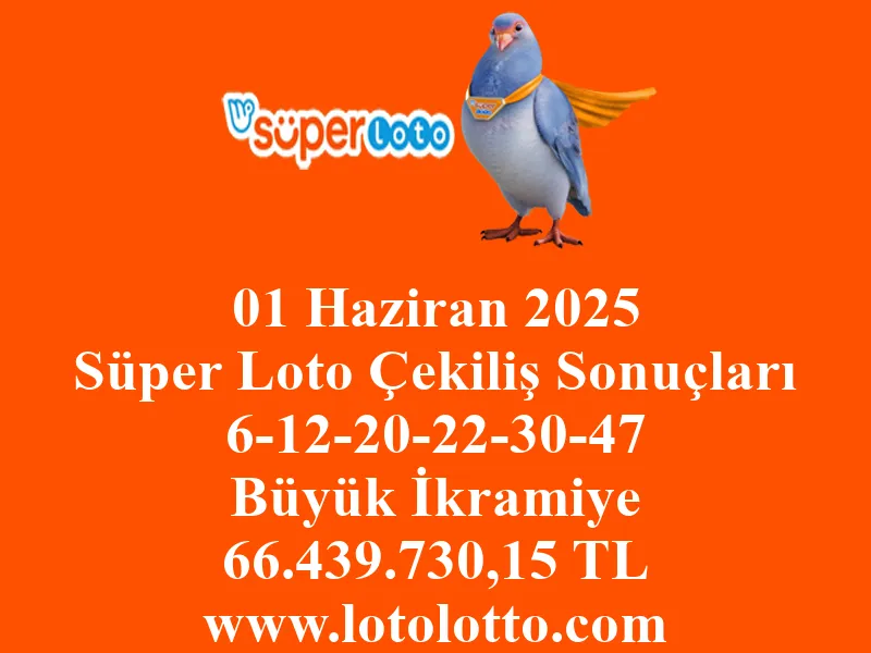 01 Haziran 2025 Süper Loto Çekiliş Sonuçları