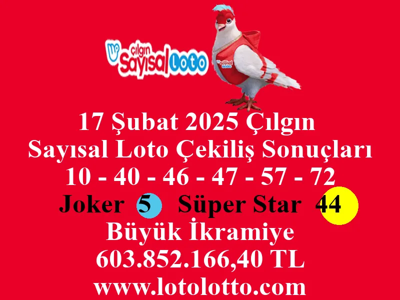 17 Şubat 2025 Çılgın Sayısal Loto Çekiliş Sonuçları