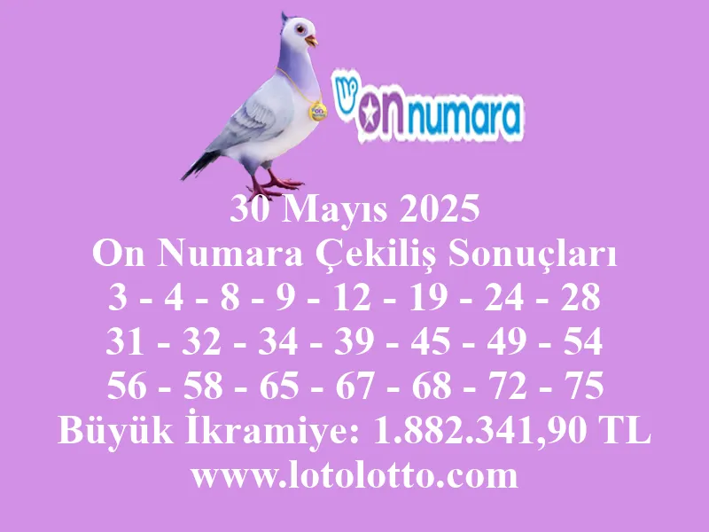 30 Mayıs 2025 On Numara Çekiliş Sonuçları