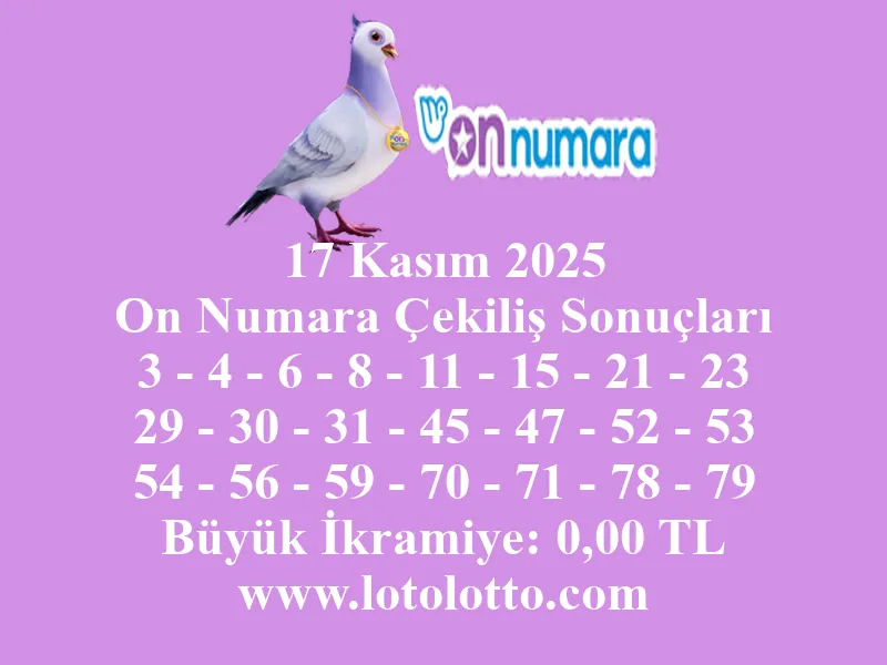 17 Kasım 2025 On Numara Çekiliş Sonuçları
